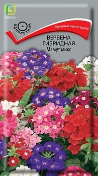 Вербена гибридная Мамут микс (0,2гр)