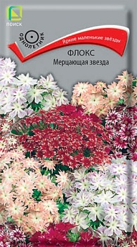 Флокс Мерцающая звезда, смесь (0,2гр)