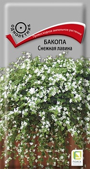 Бакопа Снежная Лавина (5шт) (однолет) (цвет.пакет)  -  П