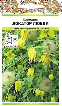 Клематис Локатор любви 20шт