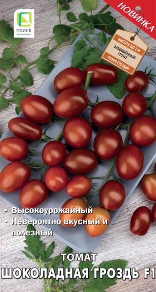 tomat_shokolad_grozd