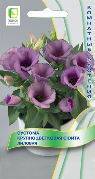 eustoma_krupnocvet_suita_lilovaya (1)