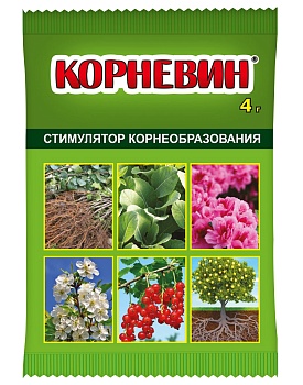 Корневин ( пак.4 гр.) ВХ