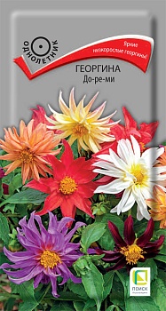 Георгина До-Ре-Ми (0,1гр)
