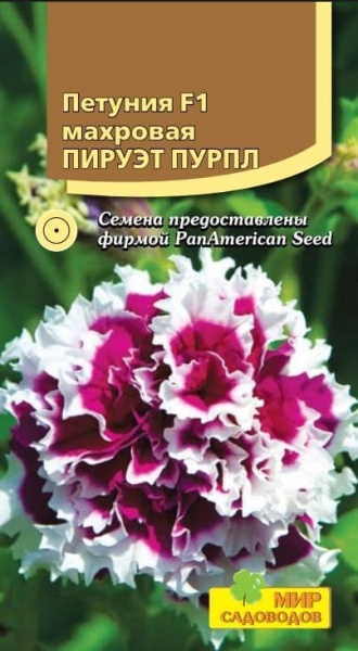 2025-10-10_22-15-53