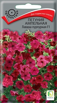 Петуния ампельная Лавина Пурпурная (10шт)