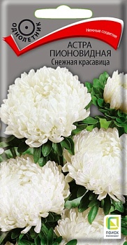Астра пионовидная Снежная Красавица (0,3гр) (однолет) (цвет.пакет)  -  П