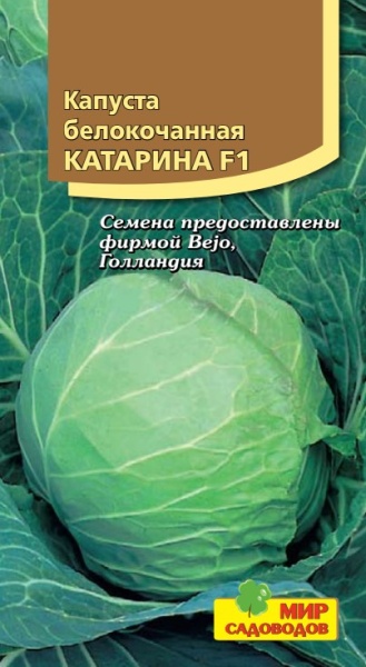 Капуста бк Катарина