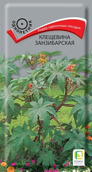 Клещевина Занзибарская (3гр)