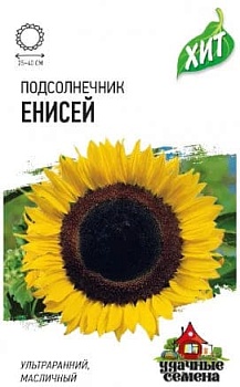 Подсолнечник Енисей (10г) 