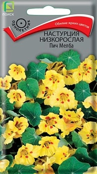 Настурция низкорослая Пич Мелба (1гр)