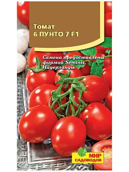 Томат 6 Пунто 7 F1 (10шт)