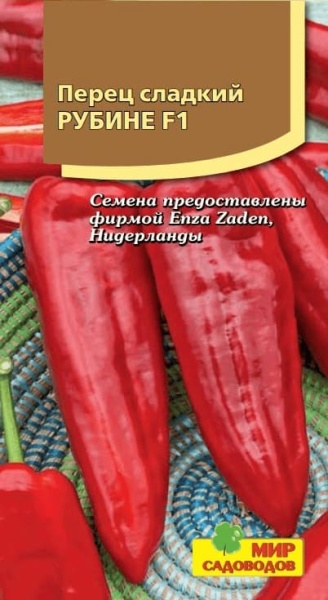 2025-01-11_18-55-40 (1)