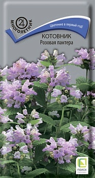 Котовник Розовая пантера (10шт)