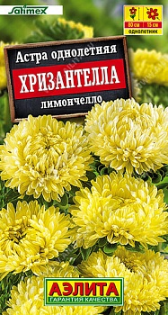 Астра Хризантелла Лимончелло 15шт