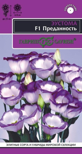 Эустома Преданность (цвет.пакет)  -  Гавриш