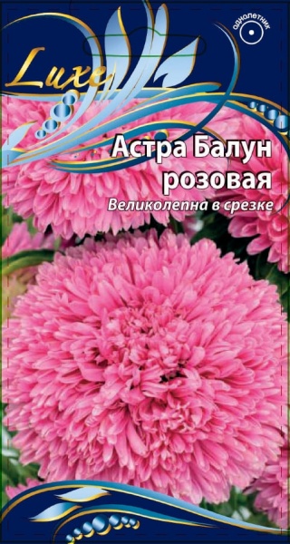 1 - 2025-02-01T190917.503