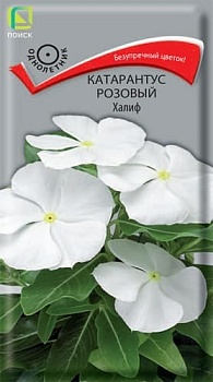 Катарантус розовый Халиф 0,1гр