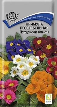 Примула бесстебельная Потсдамские гиганты (0,05гр) 