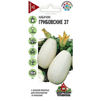 Кабачок Грибовский 37  (2гр)